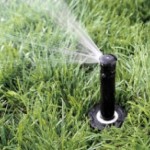 I sistemi di irrigazione, una praticità per le innaffiare le piante e il giardino di casa
